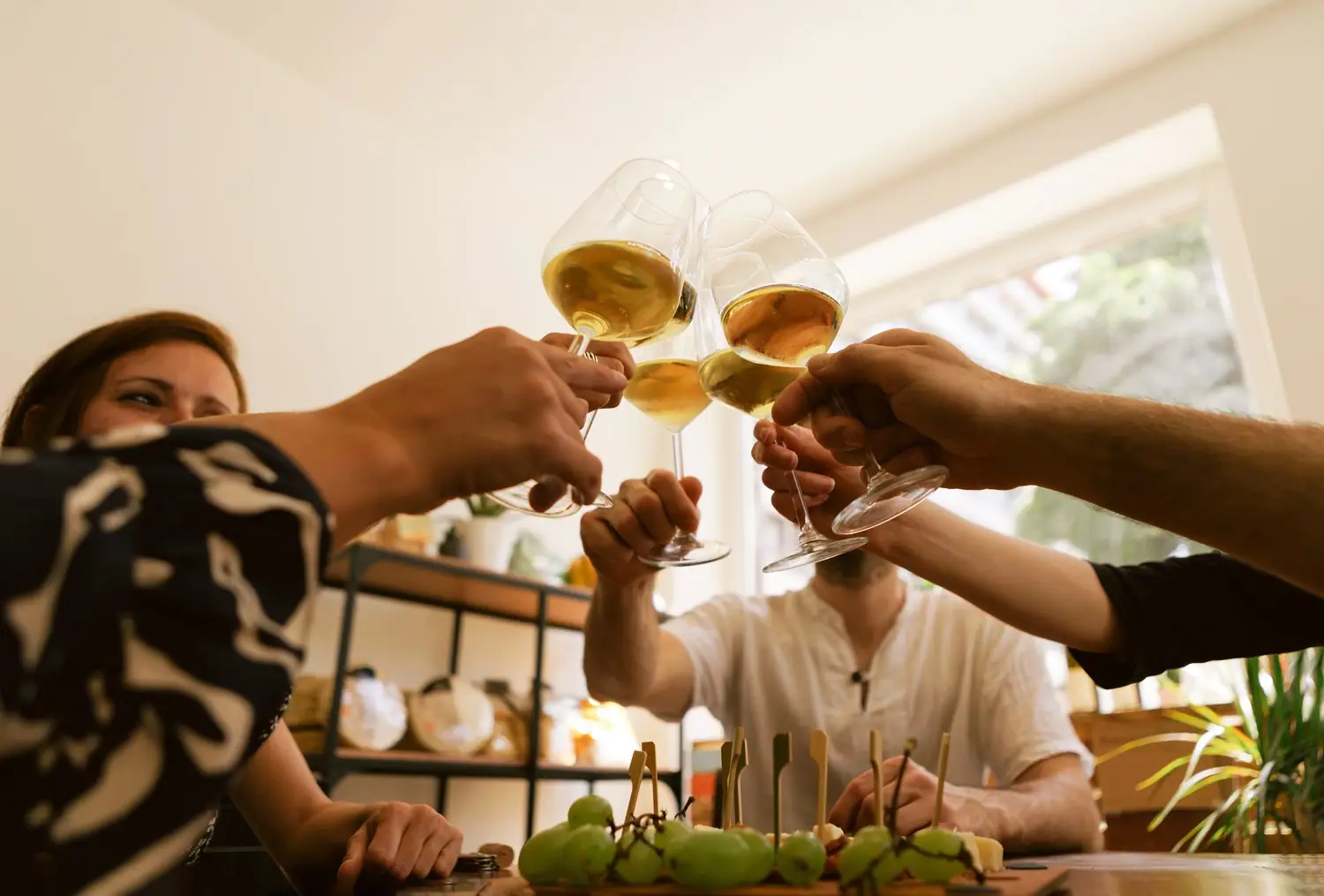 Jak urządzić wieczór degustacyjny alkoholi w domu: wybór i kolejność